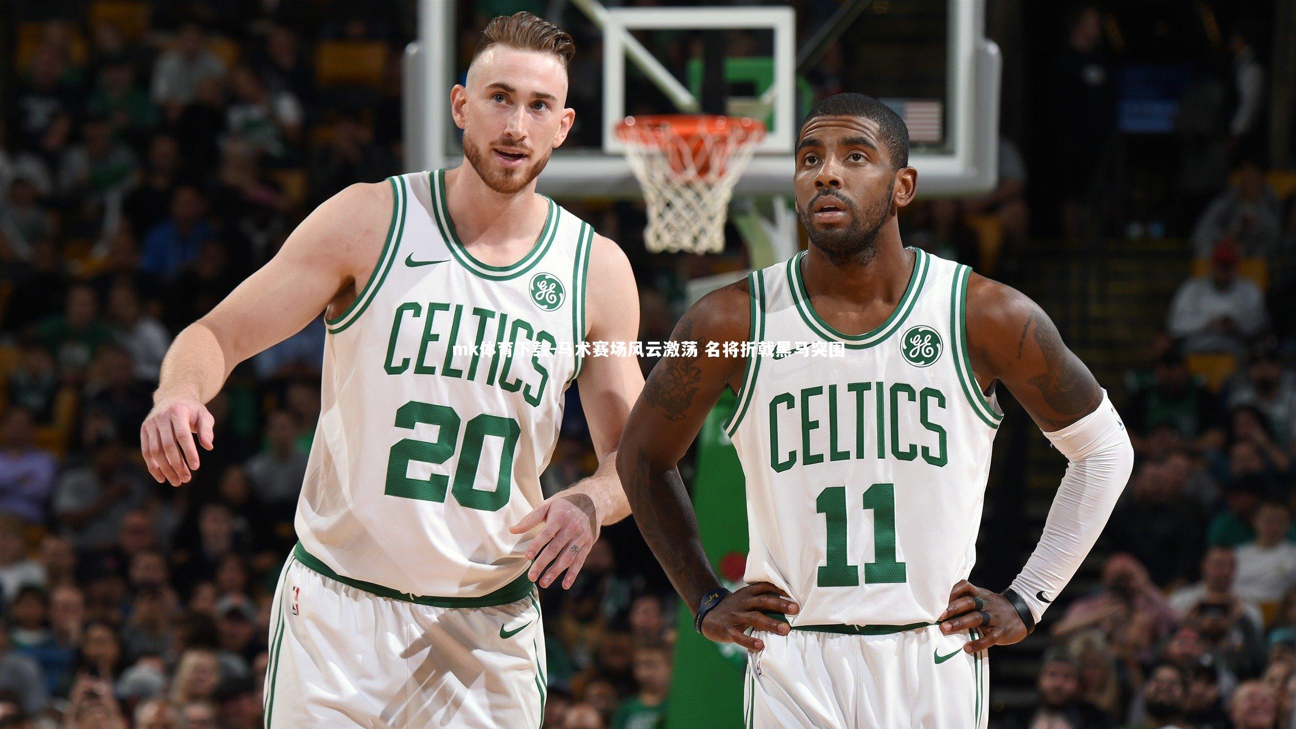 马术赛场风云激荡 名将折戟黑马突围