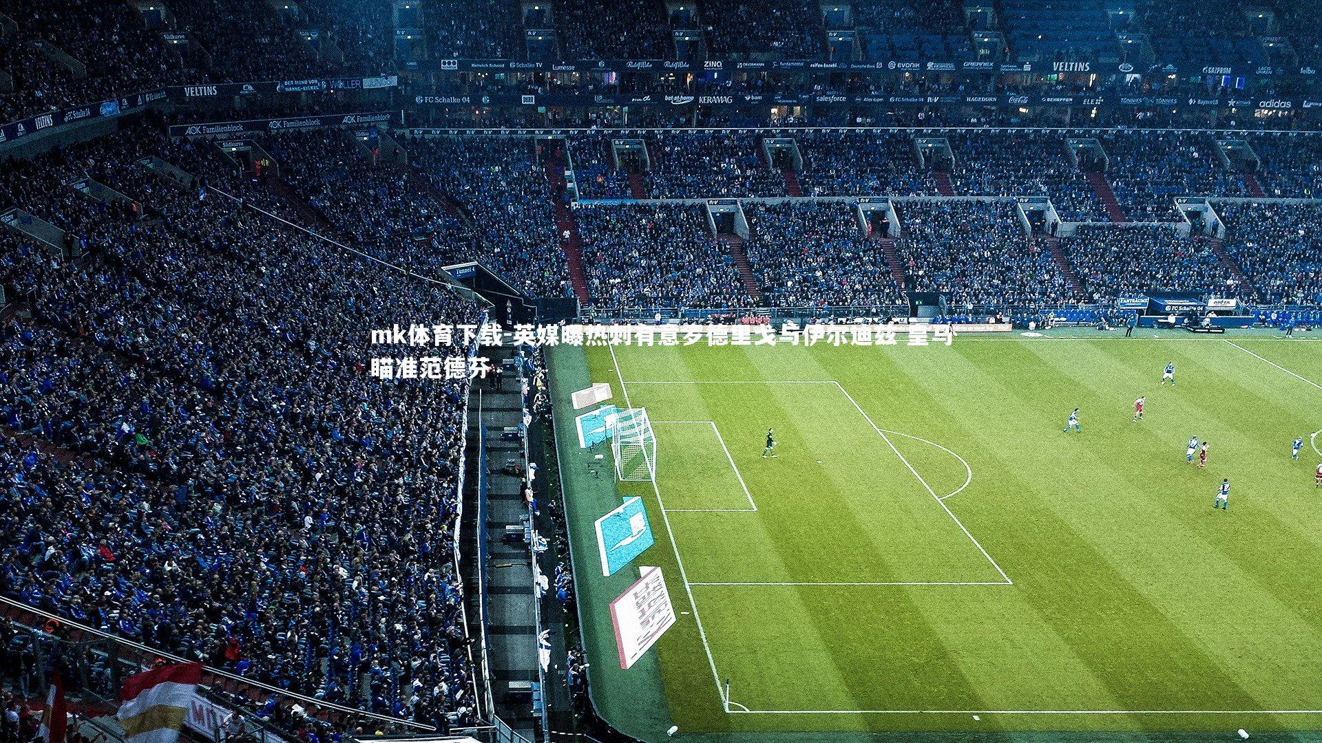 英媒曝热刺有意罗德里戈与伊尔迪兹 皇马瞄准范德芬